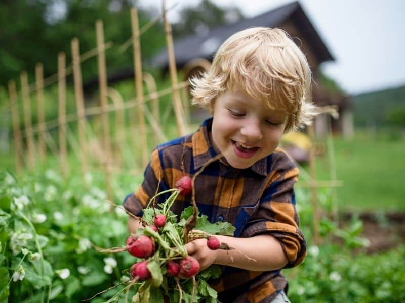 kako odabrati biljke za djetetov vrt
