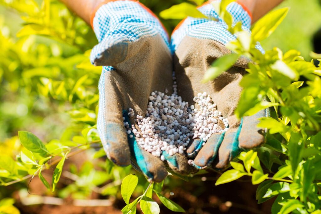 1682589327 138 Možete li koristiti biljno gnojivo za sobne biljke Evo kako