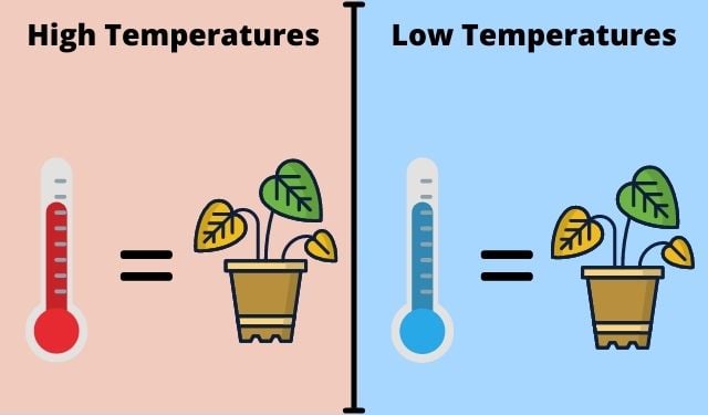 Učinak vruće i niske temperature na biljke