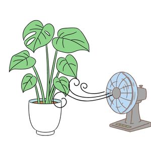 Korištenje ventilatora za protok zraka