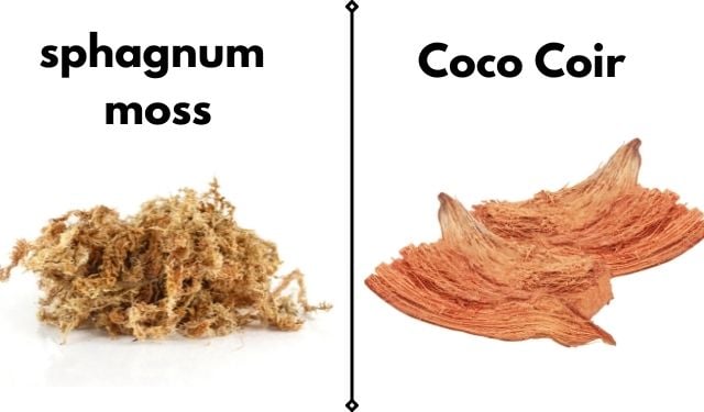 tresetna mahovina i kokosova vlakna