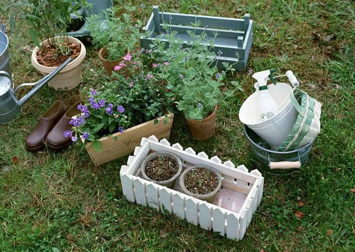 Odabir pravih biljaka za kontejnerski vrt