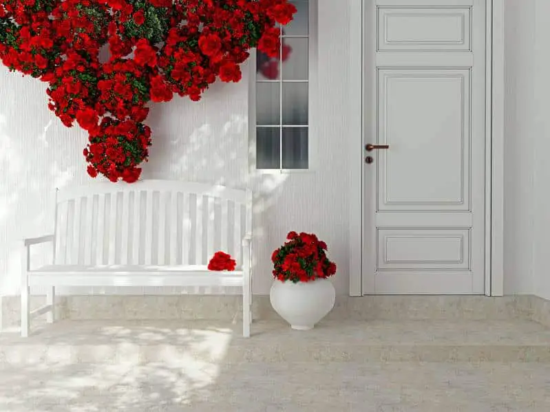 Ruže u bijeloj vazi mogu učiniti čuda za dodavanje privlačnosti uz pomoć vrtlarstva u kontejnerima.