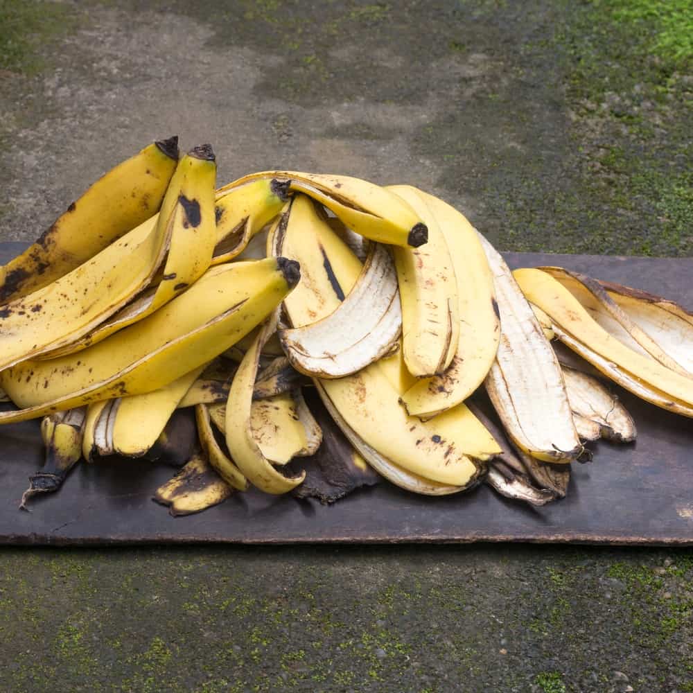 1682631614 468 19 nevjerojatnih načina korištenja kore od banane u vrtu isprobajte ove