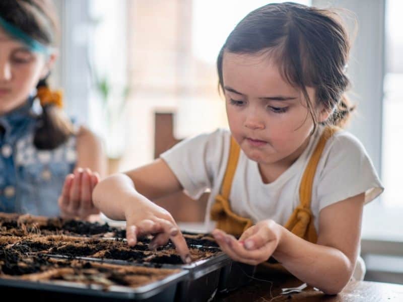Pokretanje sjemena s djecom odličan je način da naučite o životnom ciklusu biljaka