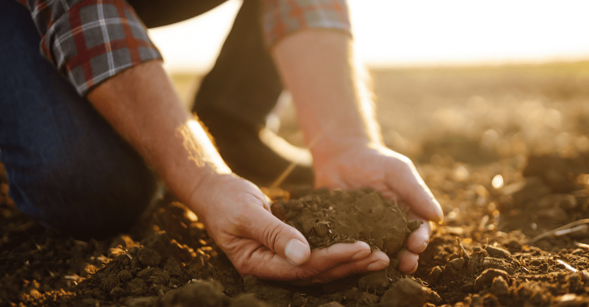 7 načina za pripremu tla prije sadnje