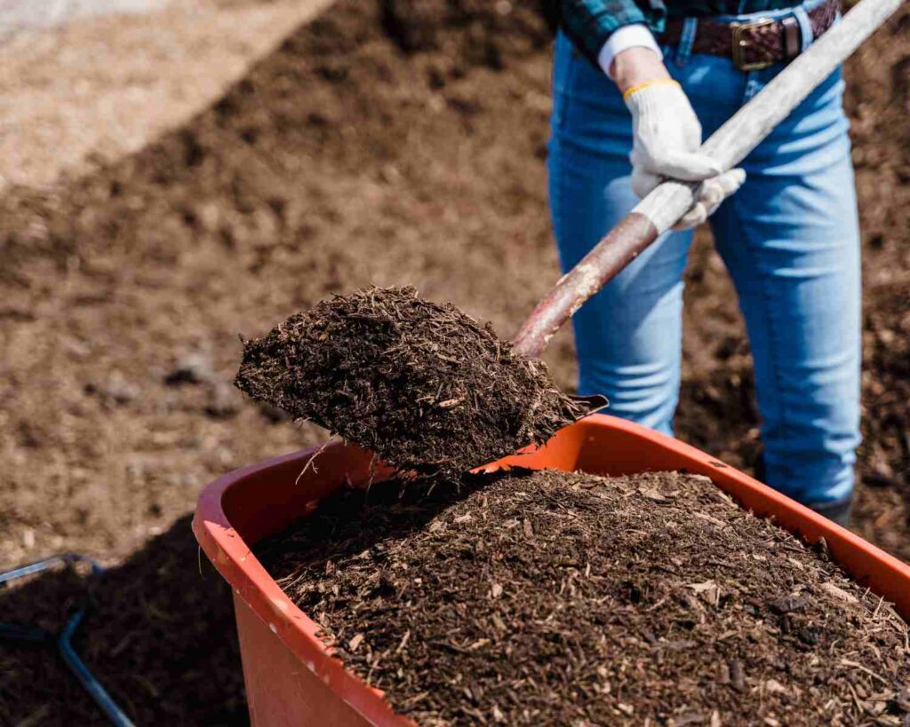 7 koraka za brzo kompostiranje drvne sječke