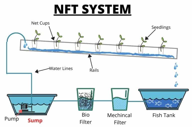 NFT Aquaponic sustav