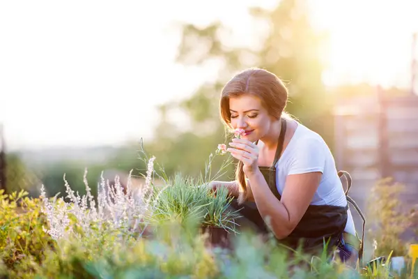 Vježbajte svjesno vrtlarstvo tako što ćete odvojiti vrijeme za mirisanje cvijeća