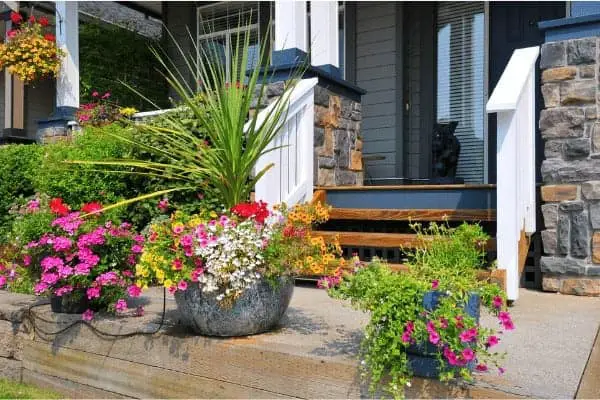 Prekrasno cvijeće u posudama na trijemu dodaje privlačnost vašem domu i povećava njegovu vrijednost.