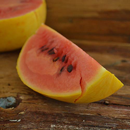Zlatna patuljasta lubenica - 25 sjemenki - Nasljedna i otvoreno oprašena sorta, laka za uzgoj i slatke sjemenke voća bez GMO-a za sadnju na otvorenom