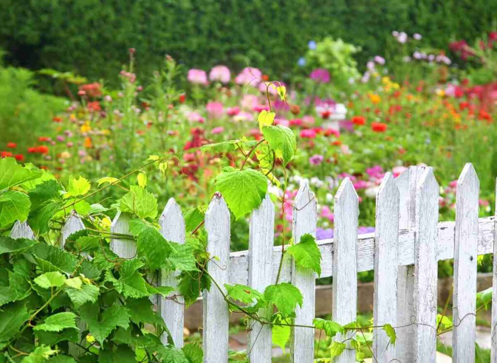 Kolika bi trebala biti visoka vrtna ograda da spriječi nametnike i krađe