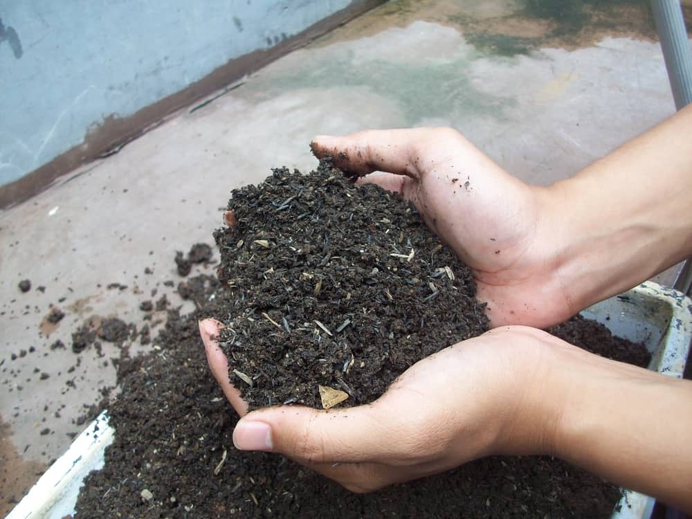 Kako napraviti organsko živo tlo