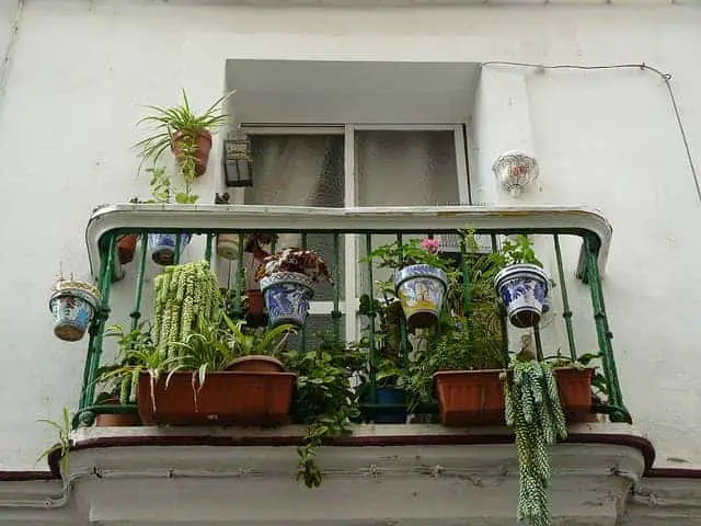 Vrtlarstvo stana često se može proširiti i na balkon.