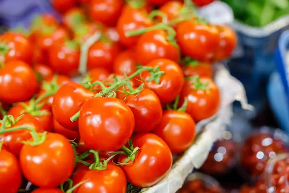 1682649807 Wie man Tomaten fur maximalen Ertrag und Pflanzengesundheit beschneidet