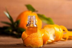 1682589130 Verwendung von Orangenol auf Pflanzen Wie man Schadlinge auf naturliche