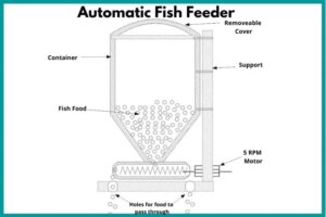 1682593210 Wie erstelle ich einen automatischen Fischfutterautomaten mit einfachen Materialien